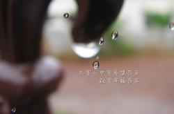 开云体育登录-致命反击，当高原之鹰撕碎非洲雄狮，贝林厄姆在2026世界杯B组写下唯一剧本