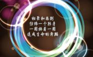 开云体育平台APP-蓝军铁壁，2026世界杯C组关键战，库尔图瓦铸就匈牙利奇迹，防守哲学击碎喀麦隆