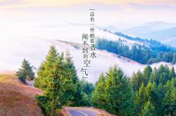 开云体育入口-2026世界杯H组绝唱，莱万多夫斯基的致命一击，美国绝杀伊朗的历史时刻
