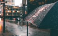 开云体育APP下载-当枫叶遇上郁金香，格列兹曼用一场战术革命改写世界杯剧本