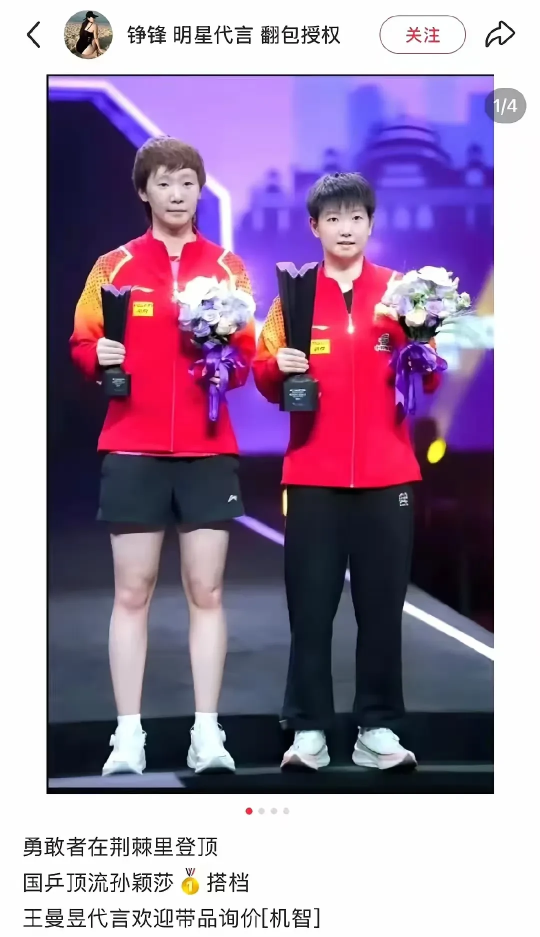 中国羽毛球队力克日本羽毛球队，马琳惊艳世界的简单介绍