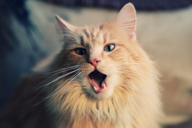 当拉什福德的灵光,遇见法兰西的钢铁洪流—现代足球的冰与火之歌