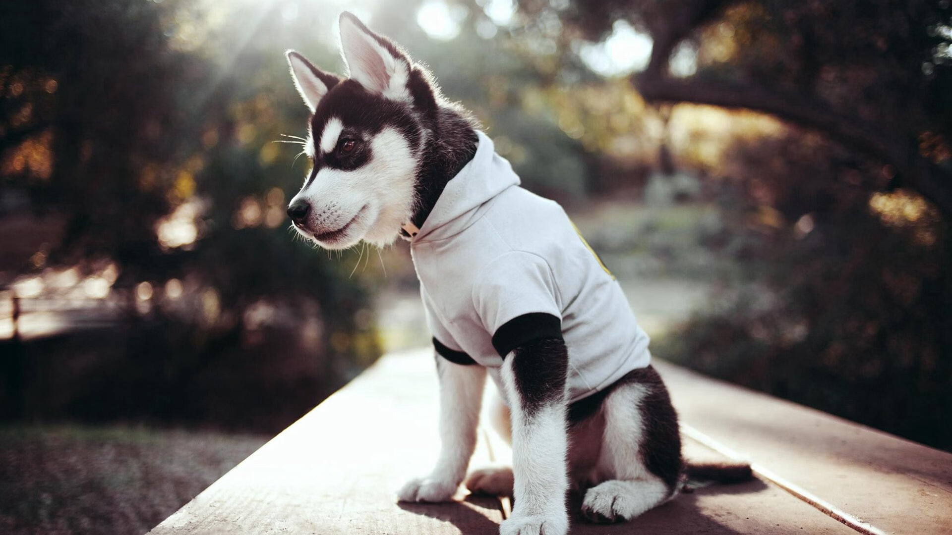 恩比德主宰攻防，热火一波流锁定胜局