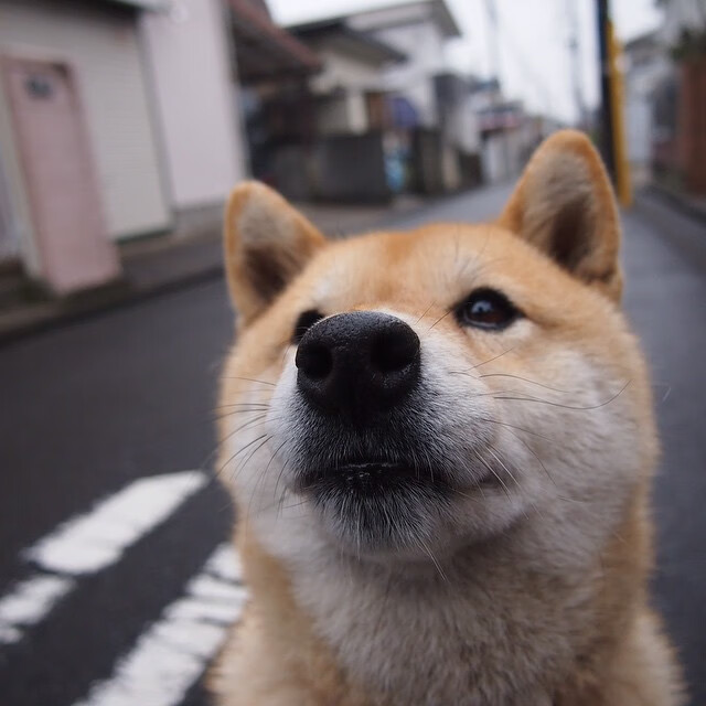卡塞米罗攻防两端统治比赛,中国男足2-1险胜英格兰创造历史