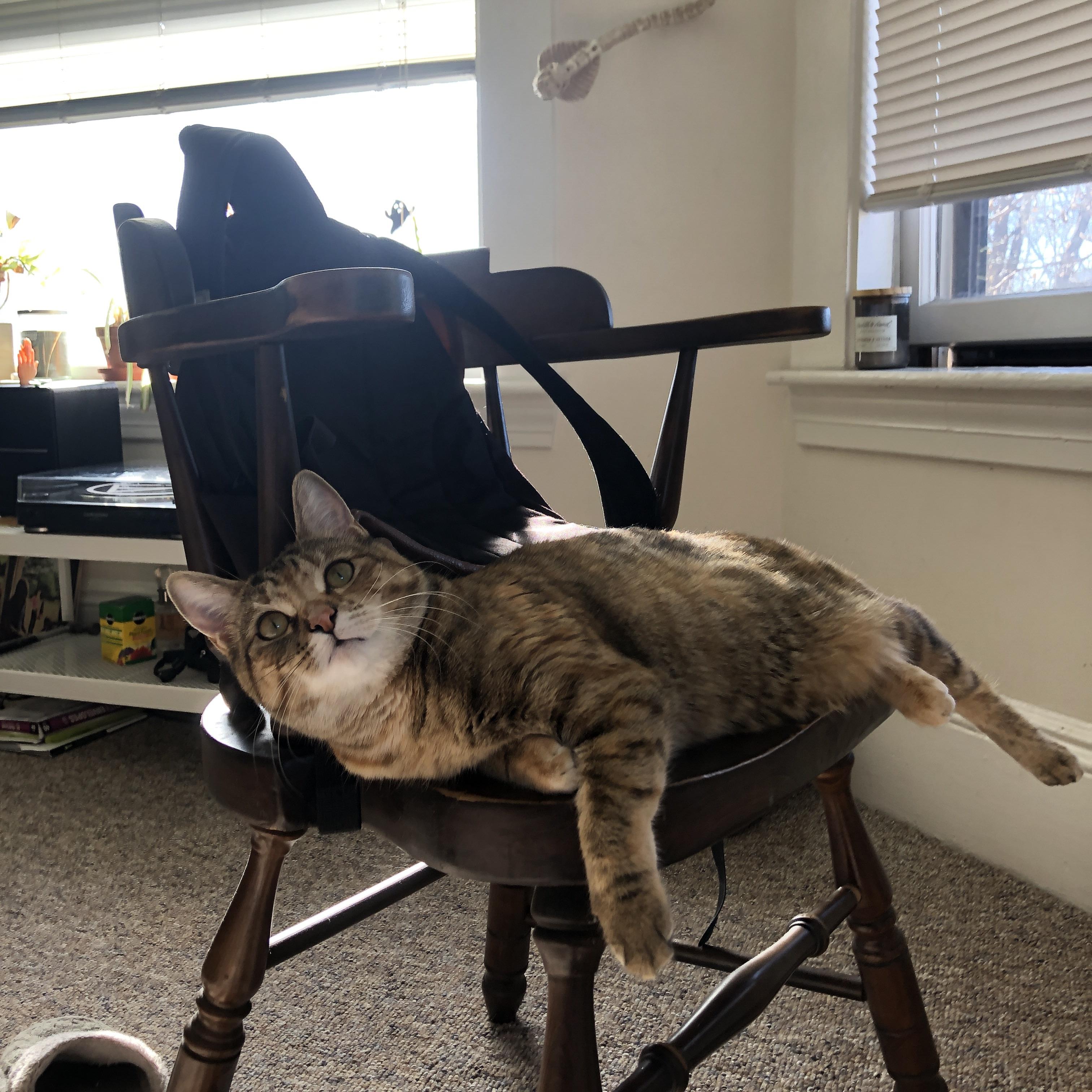 跨界联防，欧冠绞杀战与广东队锁死猛龙背后的防守哲学