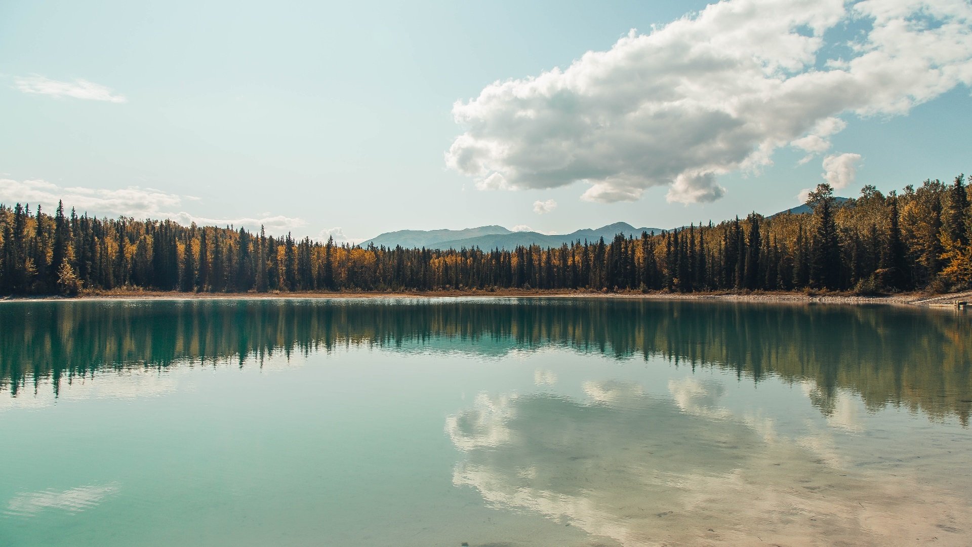 冰封俄城,当塔图姆的瞳孔里映出终场哨