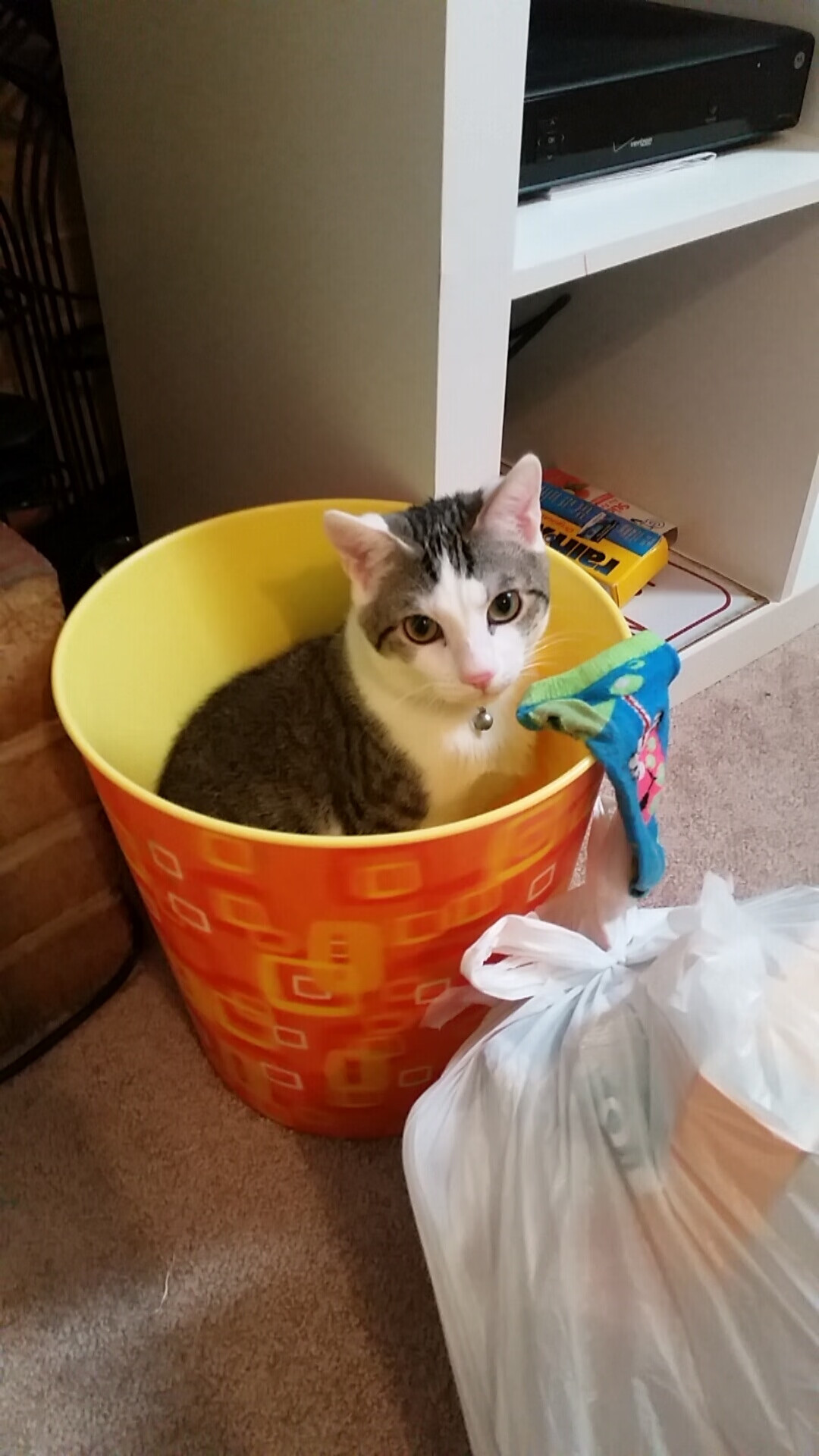 古典与未来的交响,莫德里奇定义时代,勒沃库森奏响新章