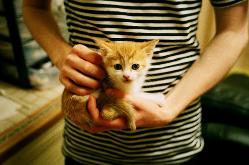 封神之夜，乔治在年度焦点战的绝对压制