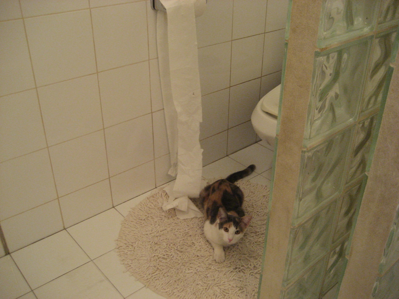 速度的庆典,从F1揭幕战到绿茵闪电,竞技之魂在极限中燃烧