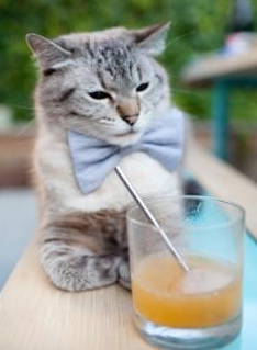 托尼关键一击,那不勒斯客场力克瑞典马尔默,欧冠小组赛占得先机