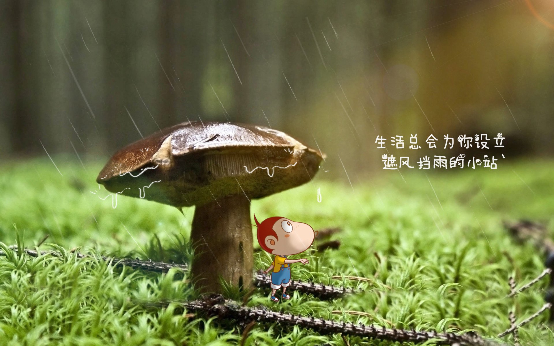 孤星耀世,2026世界杯焦点战,奥斯梅恩执导波兰狂潮,阿联酋防线崩于天才之怒