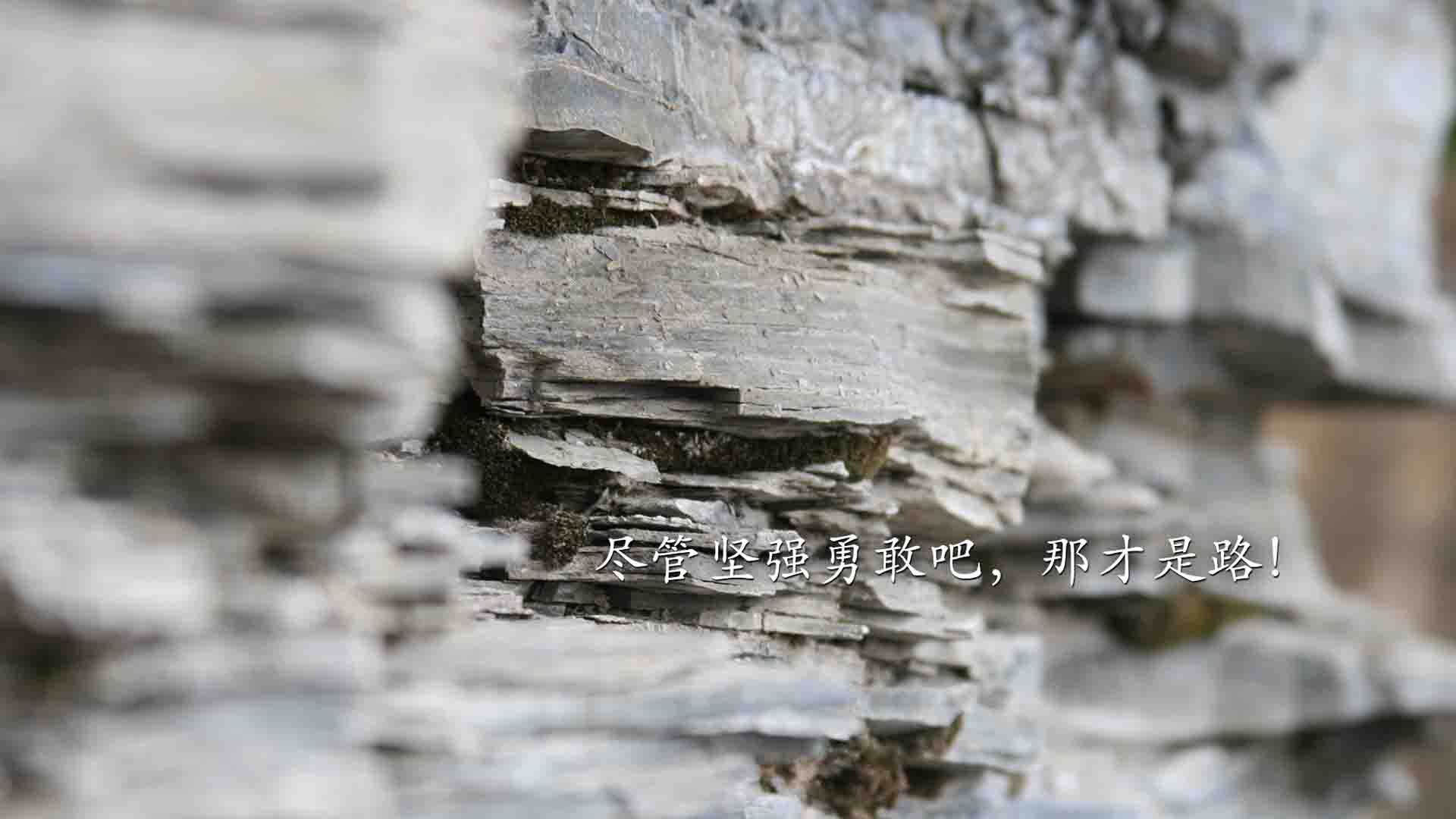 喀山之夜,贝林厄姆的天才独舞与匈牙利击碎德意志铁甲的神话