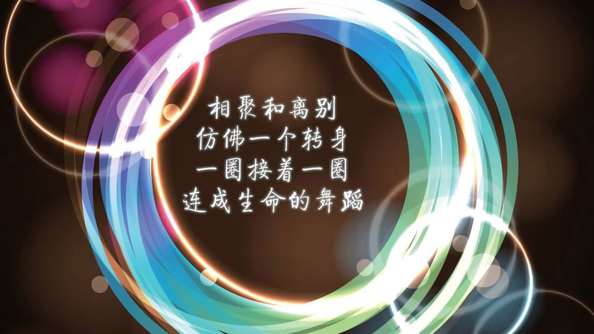 蓝军铁壁,2026世界杯C组关键战,库尔图瓦铸就匈牙利奇迹,防守哲学击碎喀麦隆