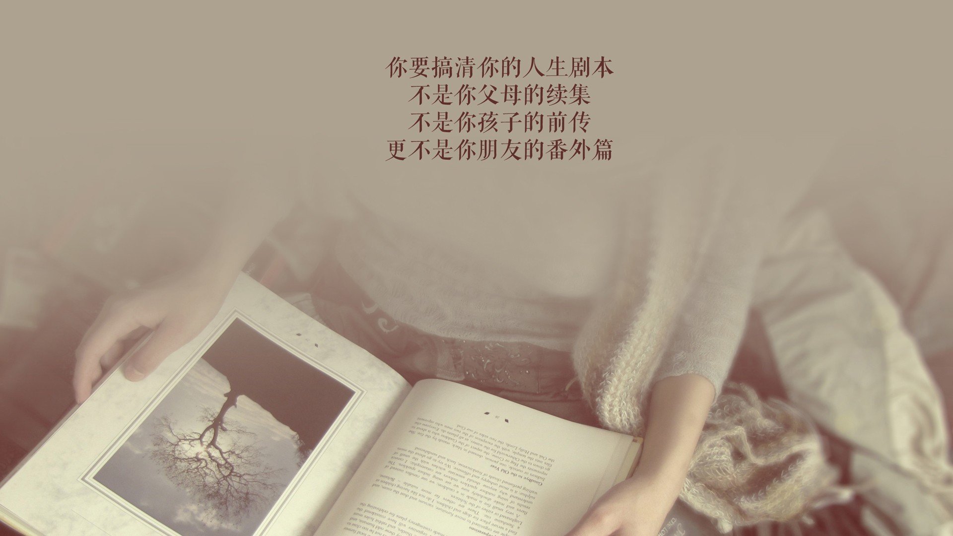 一击定乾坤,匈牙利如何用铁血压制与致命变阵,在2026世界杯C组掀翻德国战车