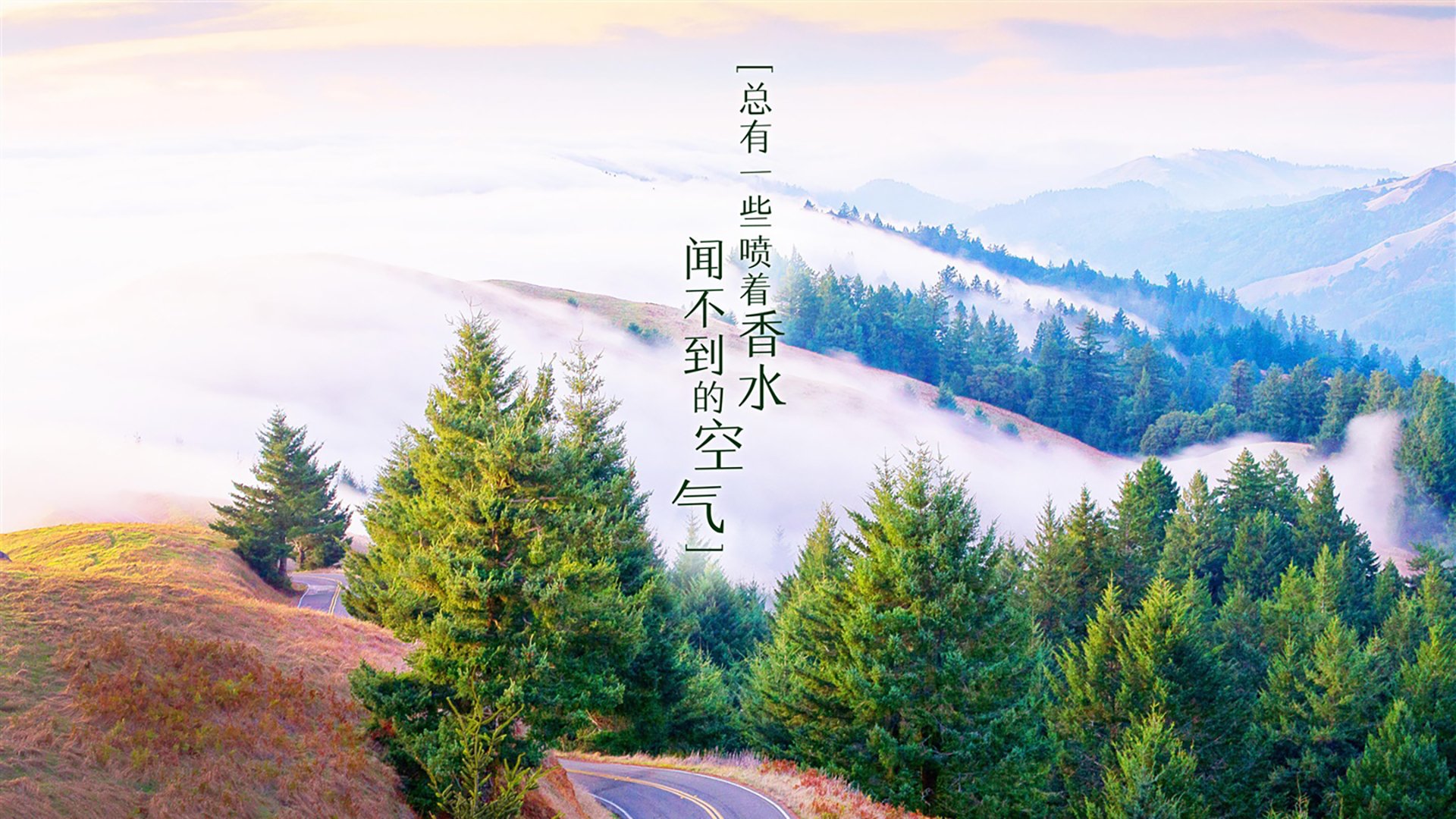 2026世界杯H组绝唱，莱万多夫斯基的致命一击，美国绝杀伊朗的历史时刻