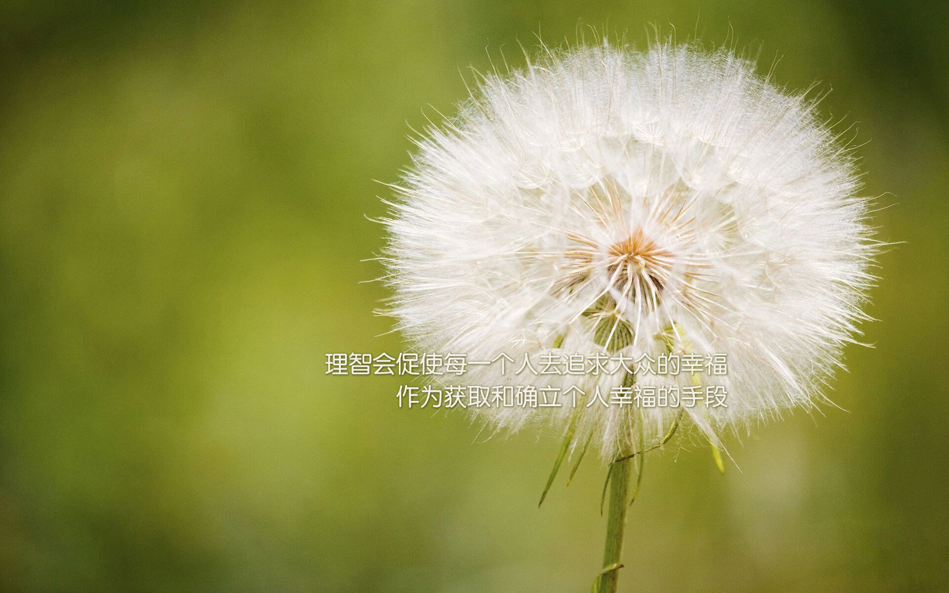 孤星耀世,2026世界杯出线战,韩国横扫葡萄牙,京多安独擎德国战车破晓而出