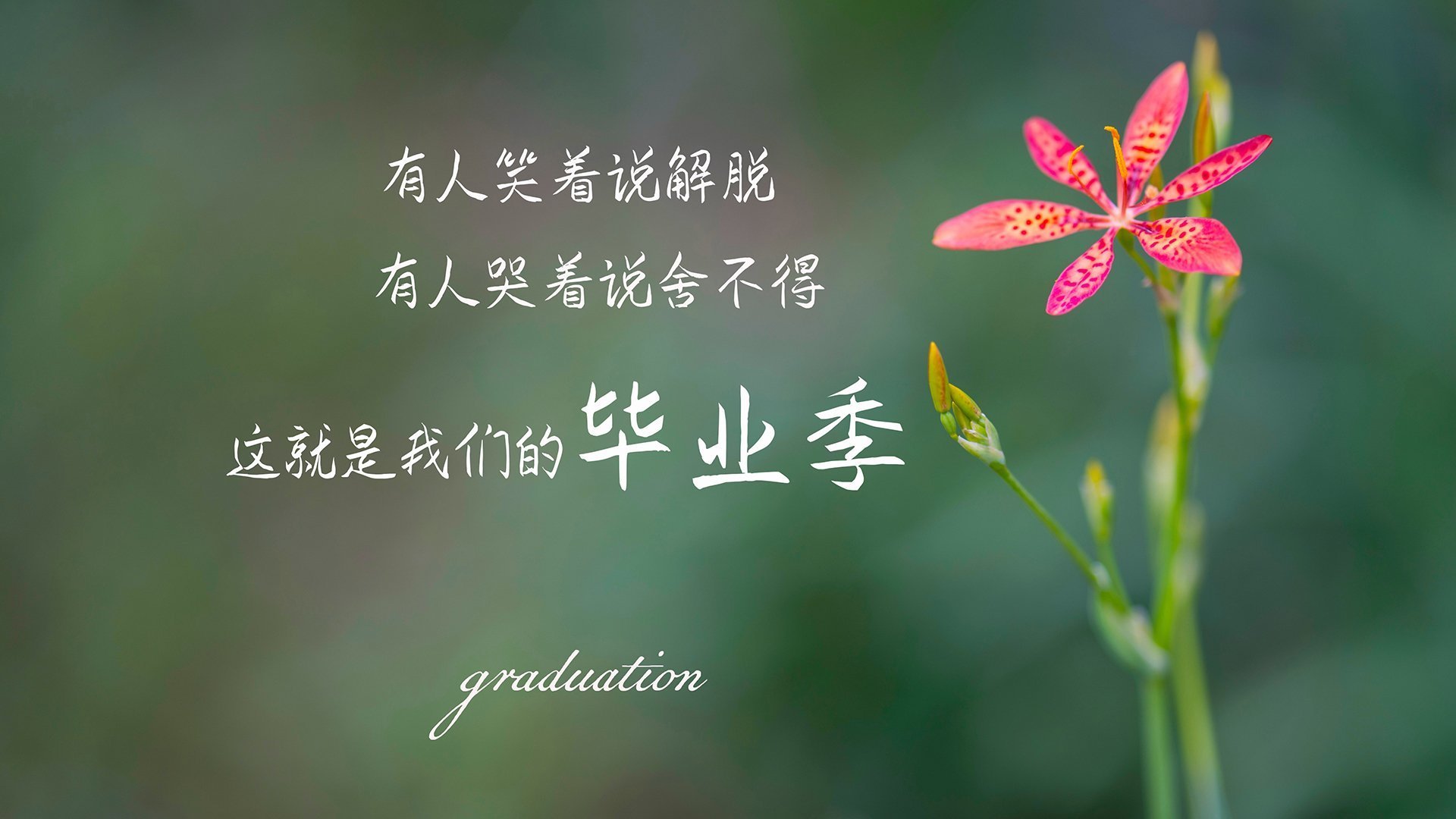 北欧寒锋撕裂非洲雄狮,佩德里导演生死战,挪威一脚踏碎喀麦隆的晋级梦